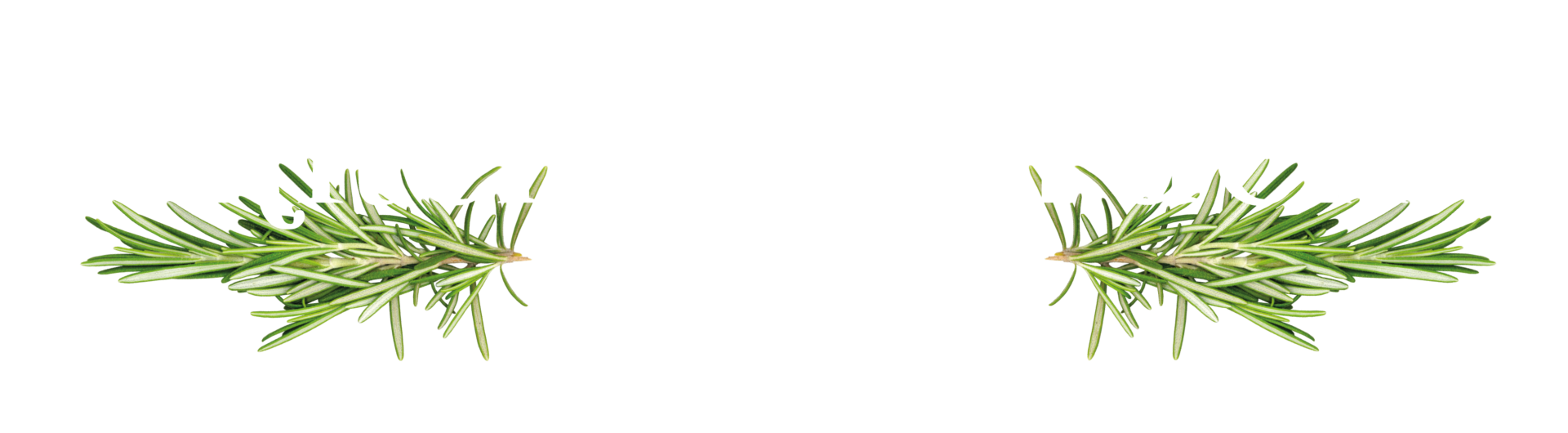 Kitchen Garden Plant Centre