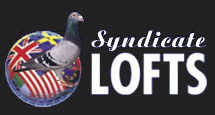 Syndicate Lofts