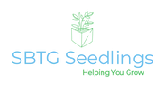 Sbtg Seedlings