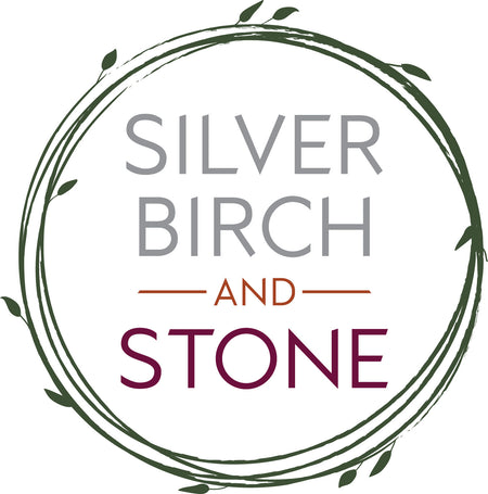 Silver Birch And Stone