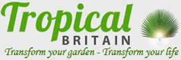 Tropical Britain