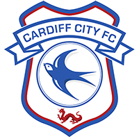 Cardiff City Shop