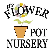 The Flower Pot Nursery