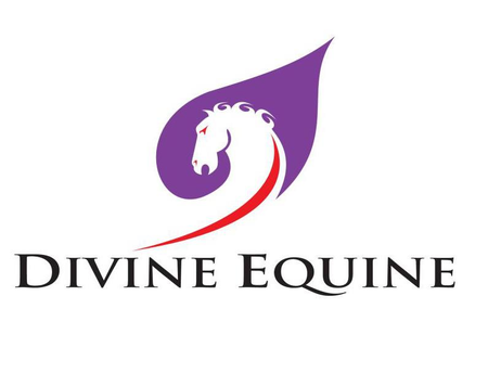 Divine Equine