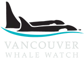 Vancouver Whale Watch