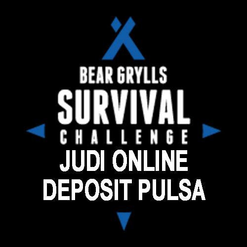 Bear Grylls Survival Challenge