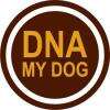 DNA My Dog