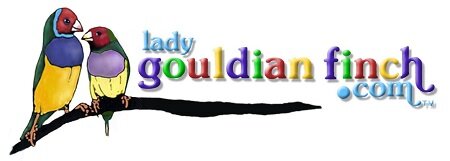 Ladygouldianfinch.com