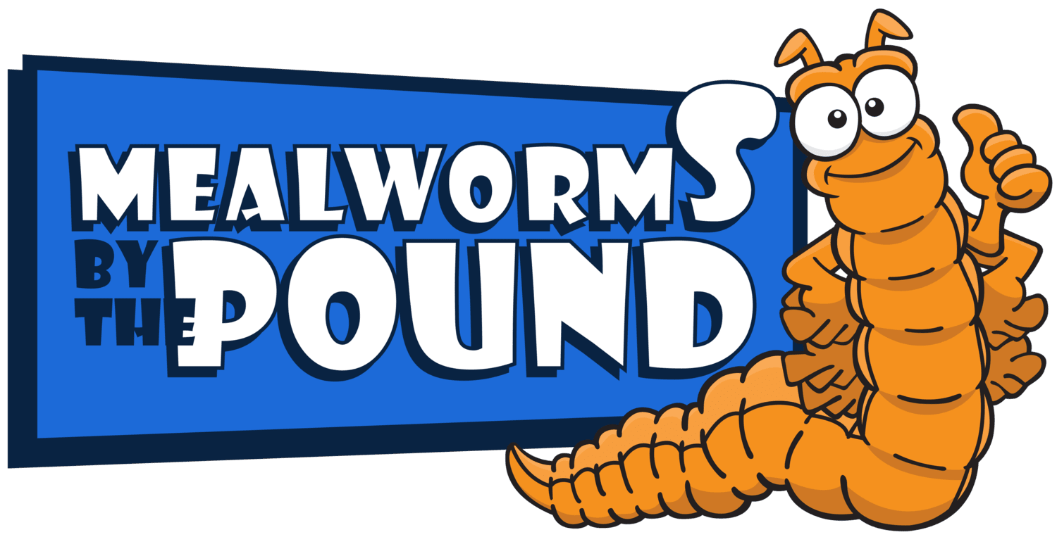 Mealworms By The Pound