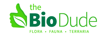 The Biodude Logo