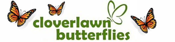 Cloverlawn Butterflies