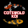 Cotswold Koi