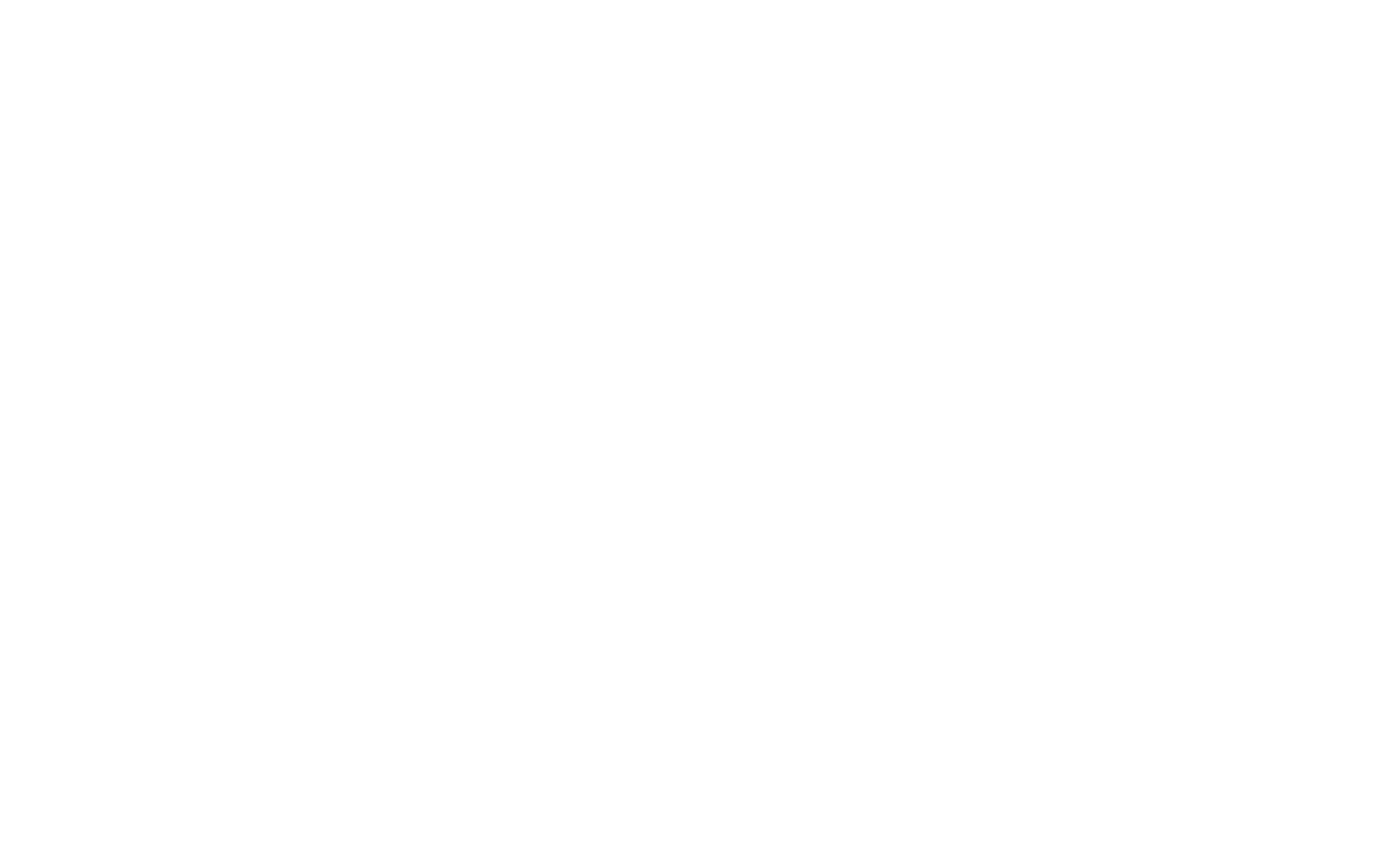 Max Amini