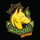 ProDog Raw