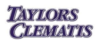 Taylors Clematis Logo