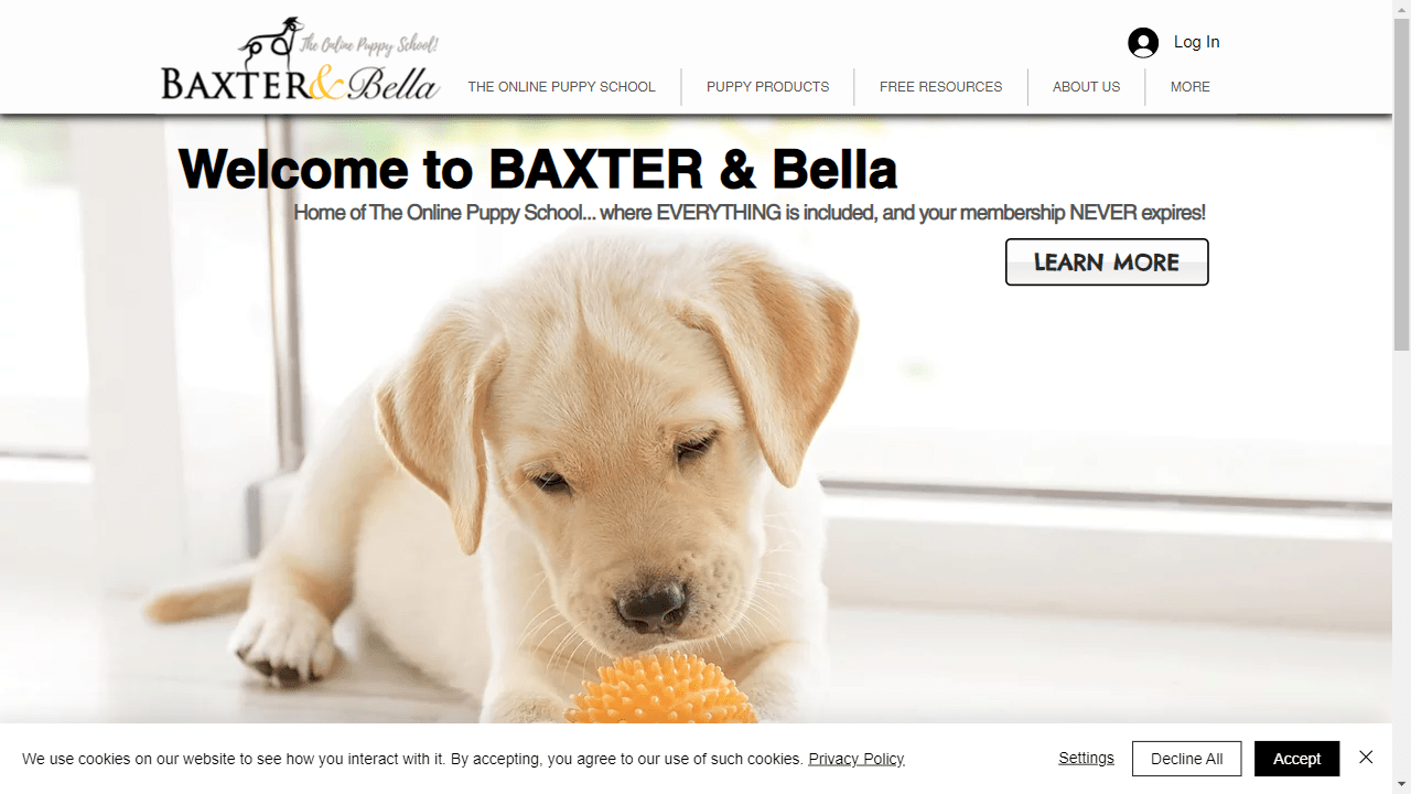 Baxter And Bella Dog Training