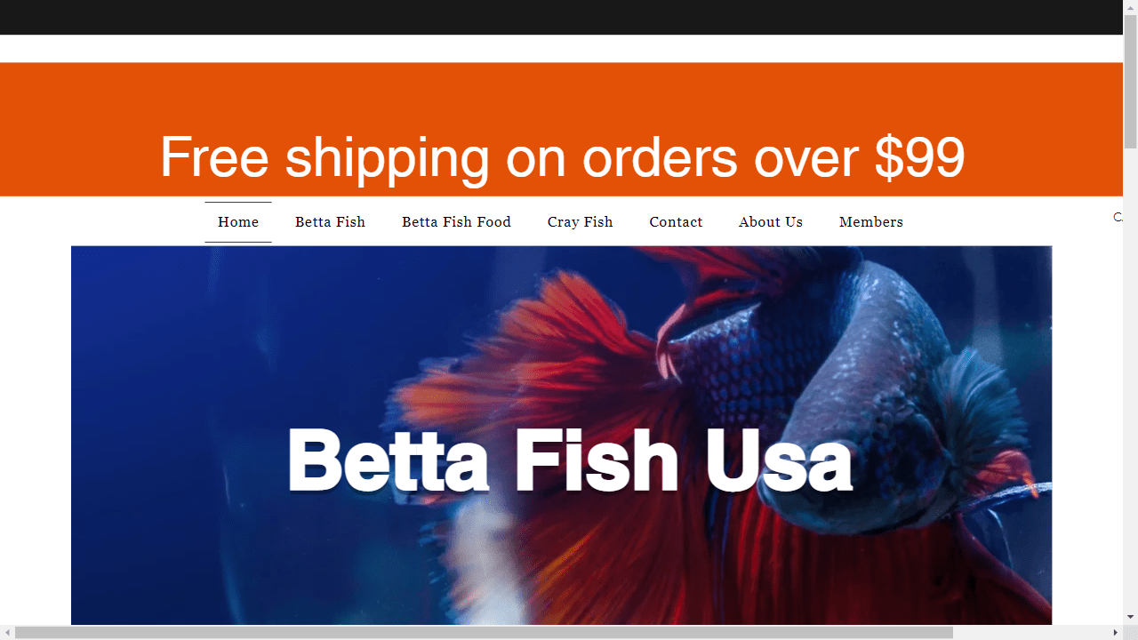 Betta Fish Usa