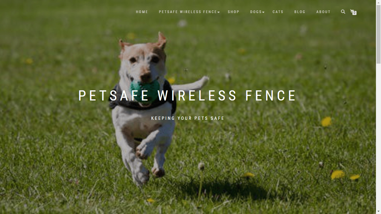 PetSafe Wireless Fence
