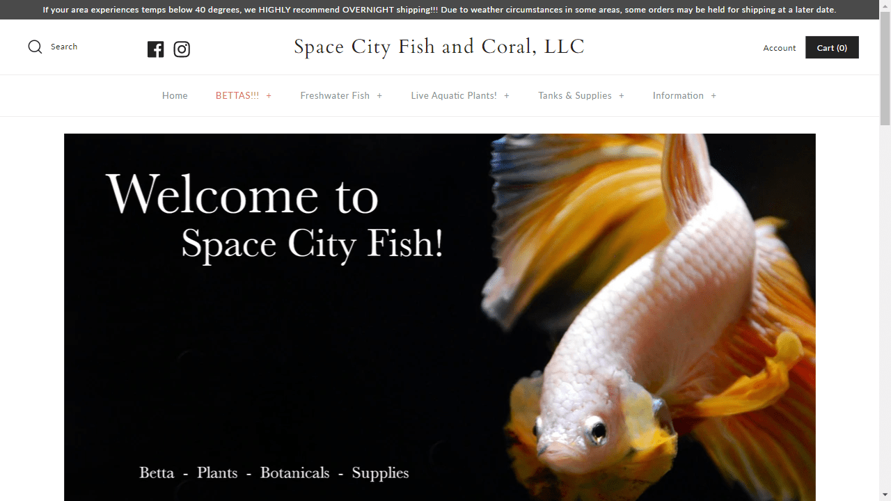 Space City Fish and Coral