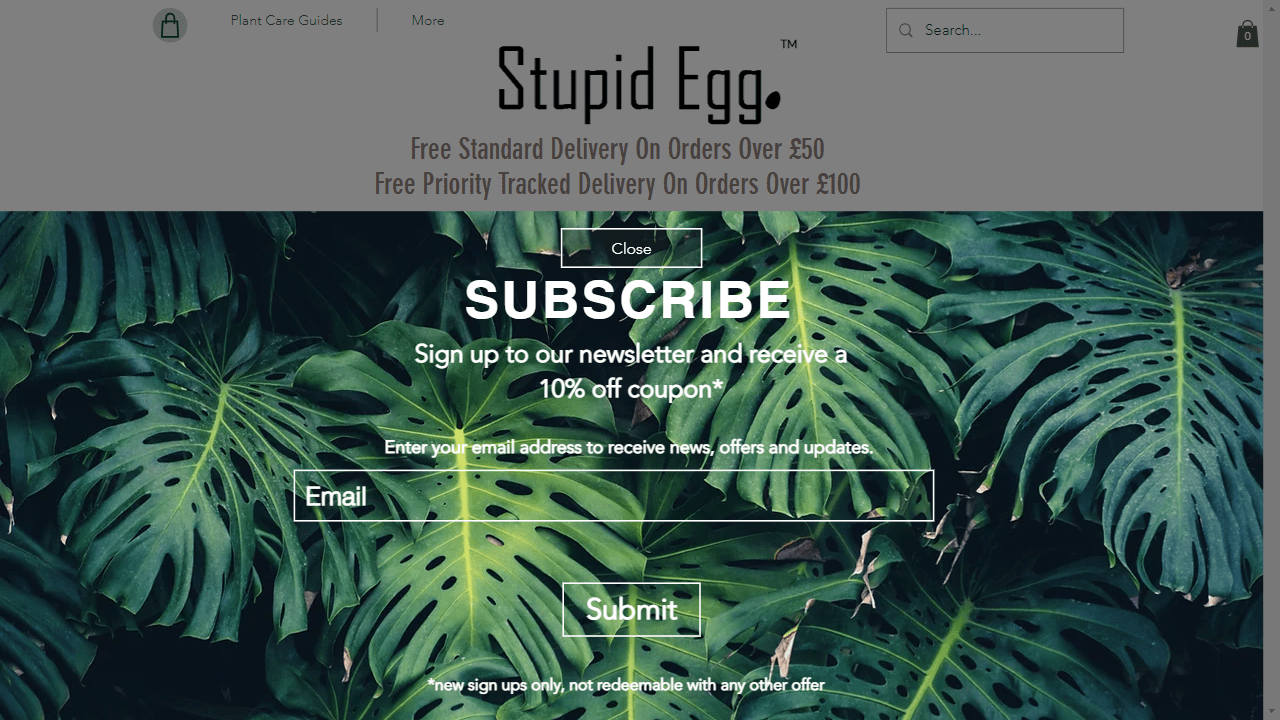 Stupid Egg